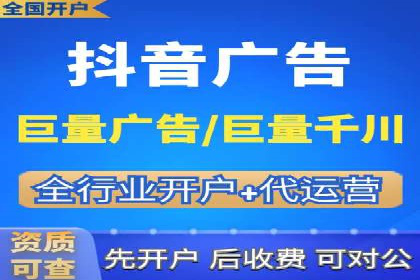 百度竞价广告与自然搜索排名的结合策略案例